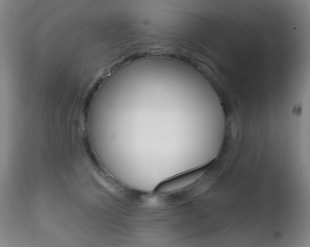 X0000112510564200908171051