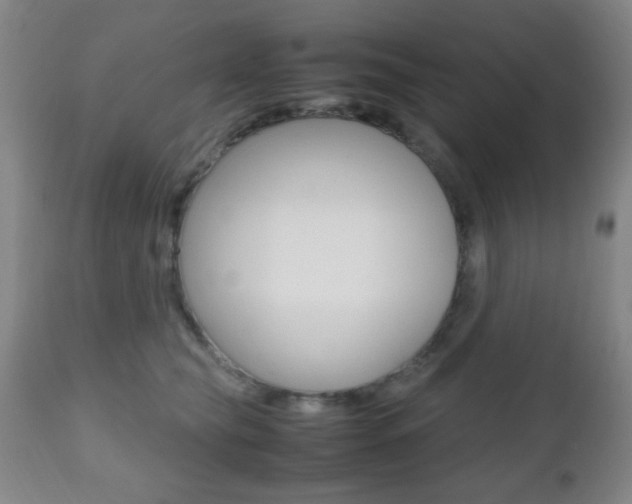 X0000112510565200908171051
