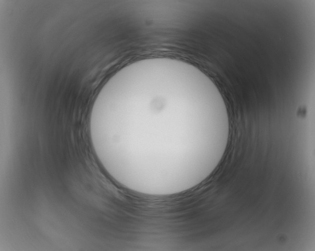 X0000112510566200908171051