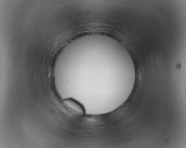 X0000112510567200908171051