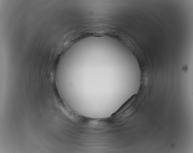 X0000112510568200908171051