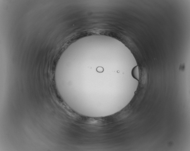 X0000112510569200908171051