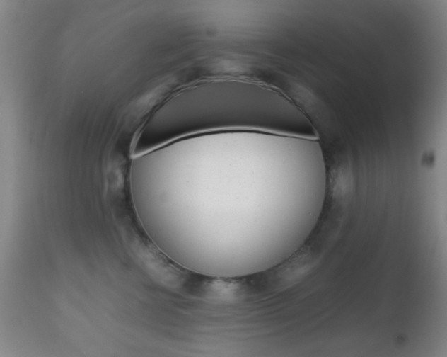 X0000112510570200908171051