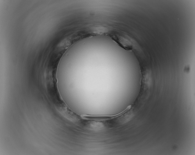X0000112510572200908171051