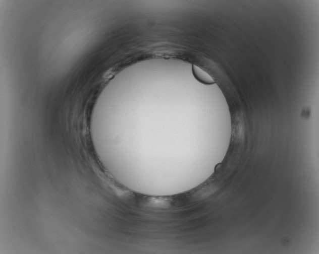 X0000112510573200908171051
