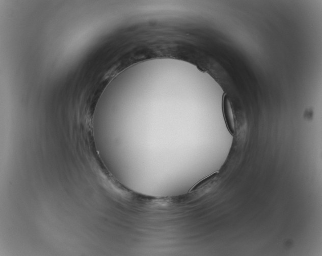 X0000112510574200908171051