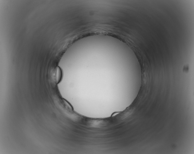 X0000112510575200908171051