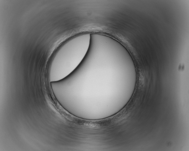 X0000112510582200908171050