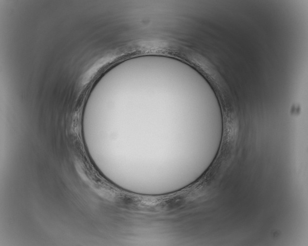 X0000112510583200908171050