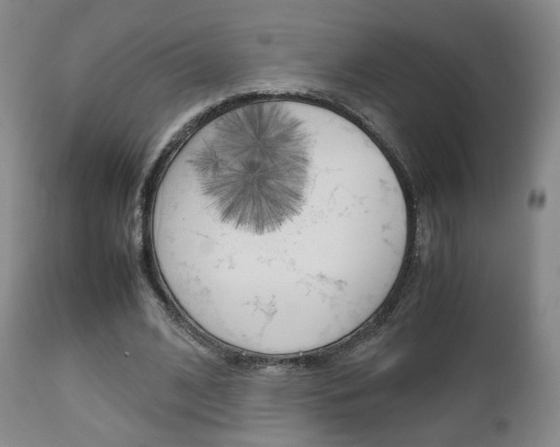 X0000112510584200908171050