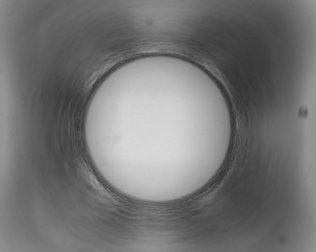 X0000112510585200908171050