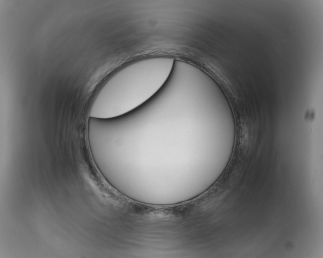 X0000112510586200908171050