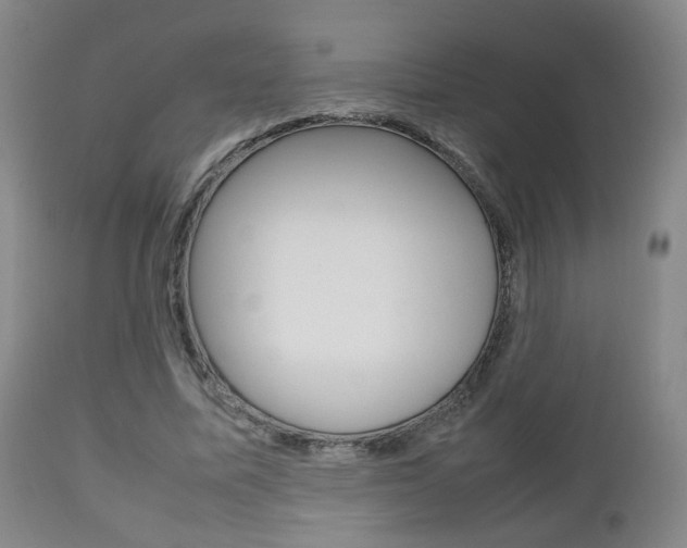 X0000112510587200908171050