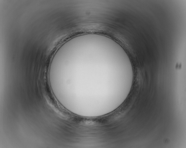 X0000112510590200908171050