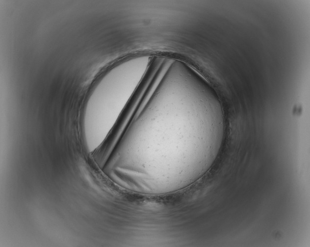 X0000112510592200908171050
