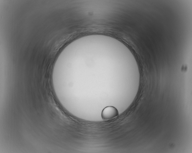 X0000112510593200908171050