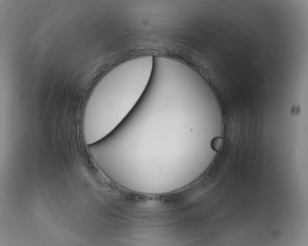 X0000112510594200908171050