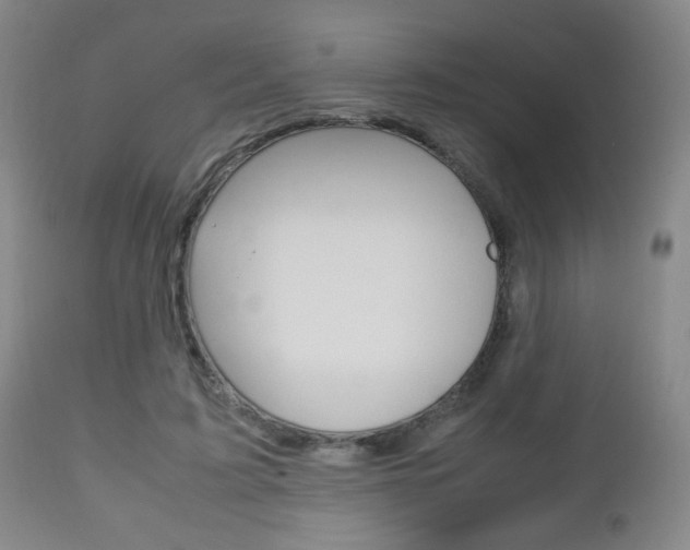 X0000112510595200908171050