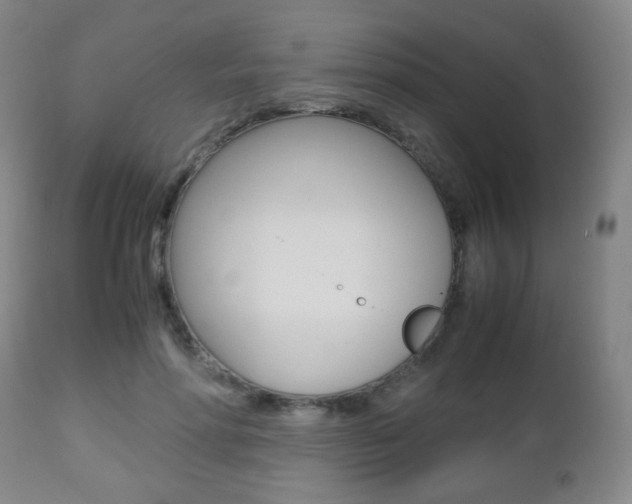 X0000112510598200908171050