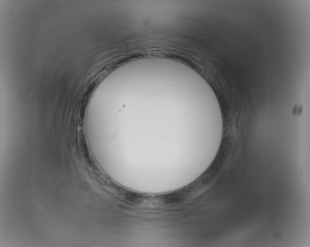 X0000112510599200908171050