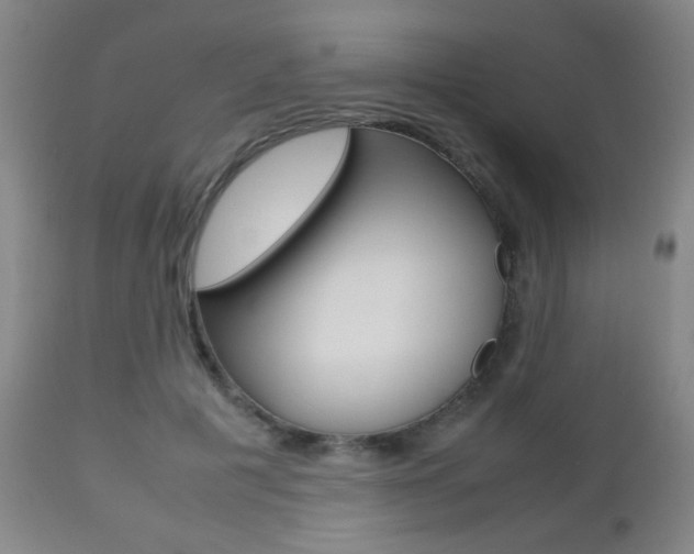 X0000112510601200908171050