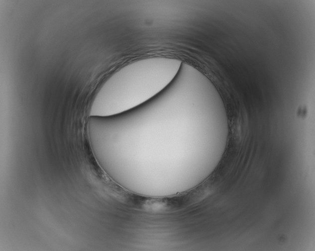 X0000112510602200908171050