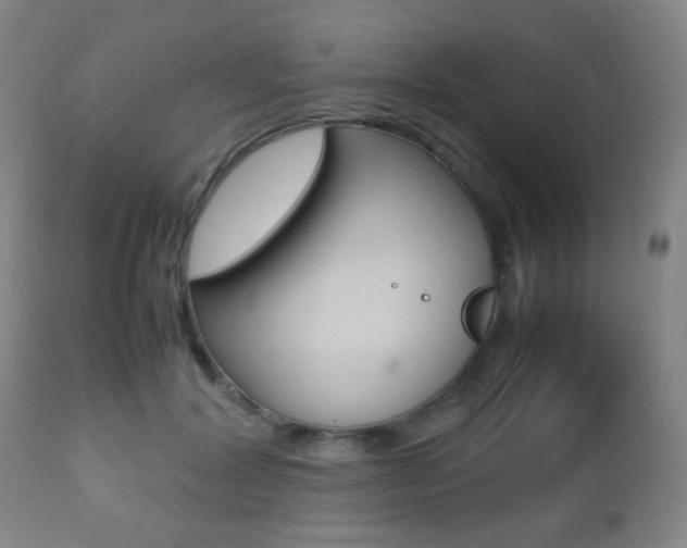 X0000112510604200908171050