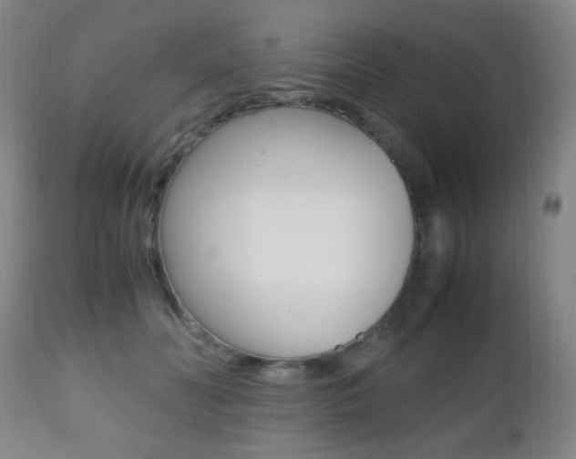 X0000112510606200908171050