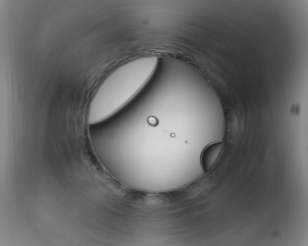 X0000112510608200908171050