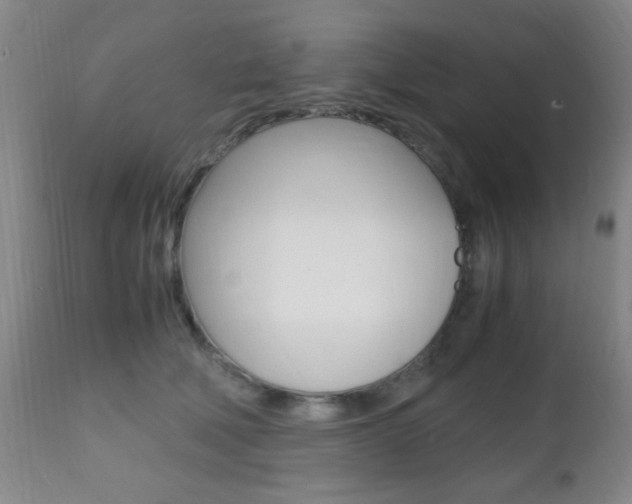 X0000112510610200908171050