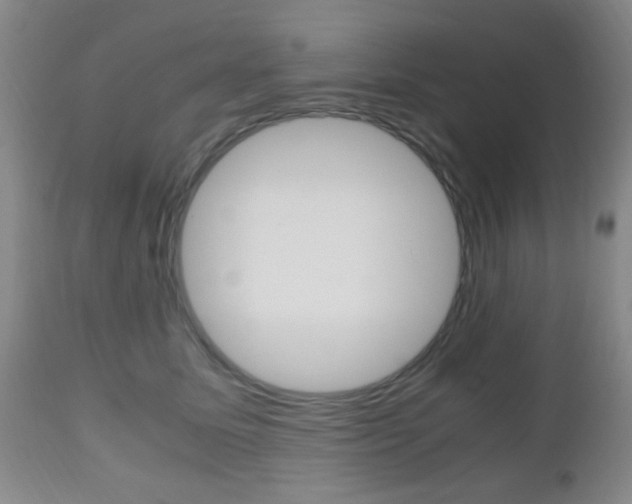 X0000112510611200908171050