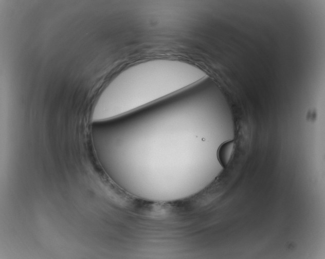 X0000112510612200908171050