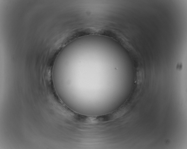 X0000112510613200908171050