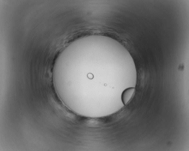 X0000112510614200908171049
