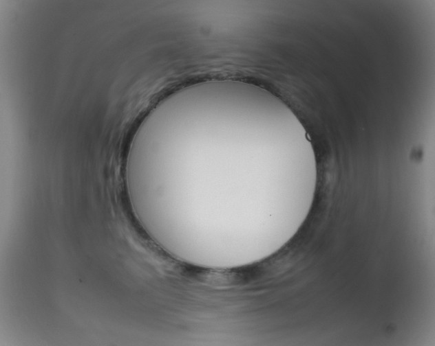 X0000112510615200908171049
