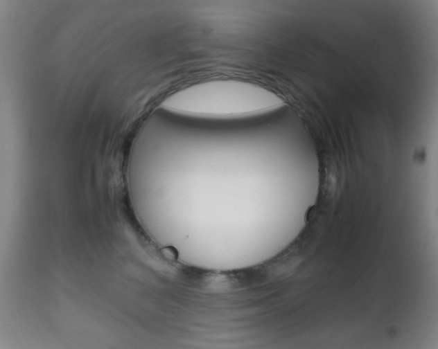 X0000112510616200908171049