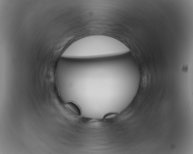 X0000112510620200908171049