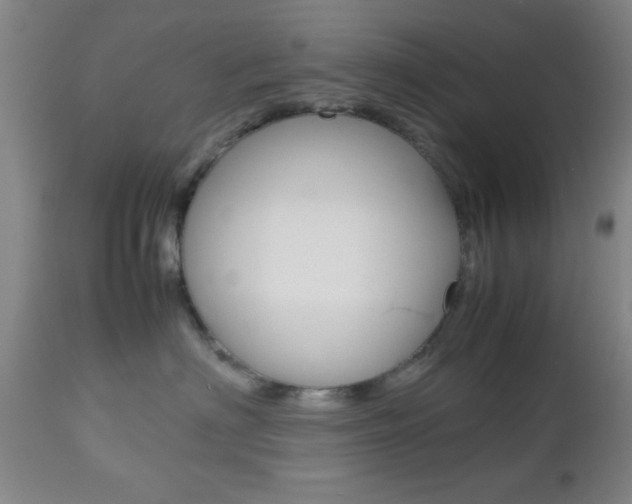 X0000112510622200908171049