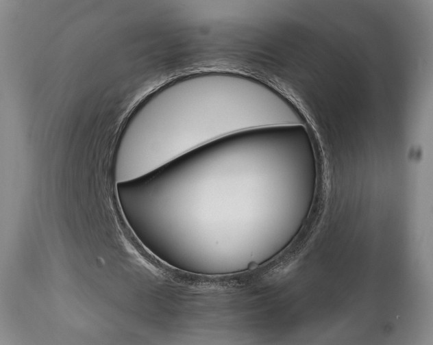 X0000112510625200908171049