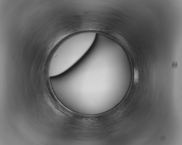X0000112510627200908171049
