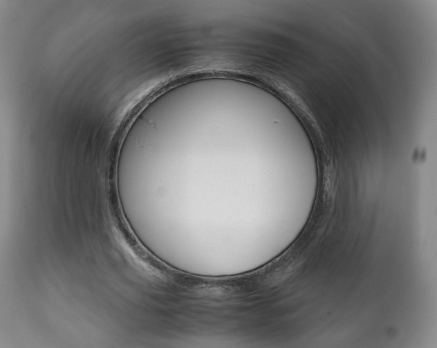 X0000112510629200908171049