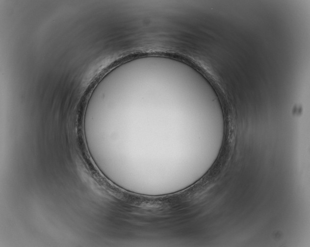 X0000112510631200908171049