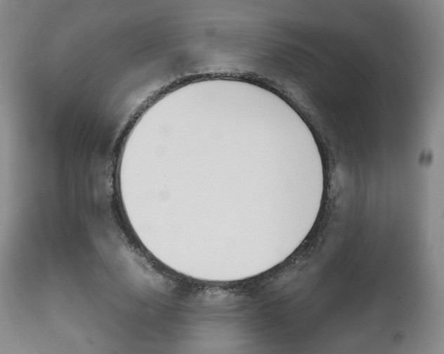 X0000112510632200908171049