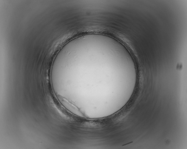 X0000112510633200908171049