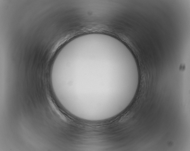 X0000112510634200908171049