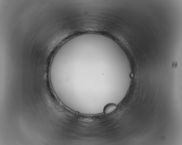 X0000112510635200908171049