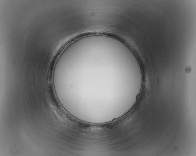 X0000112510636200908171049