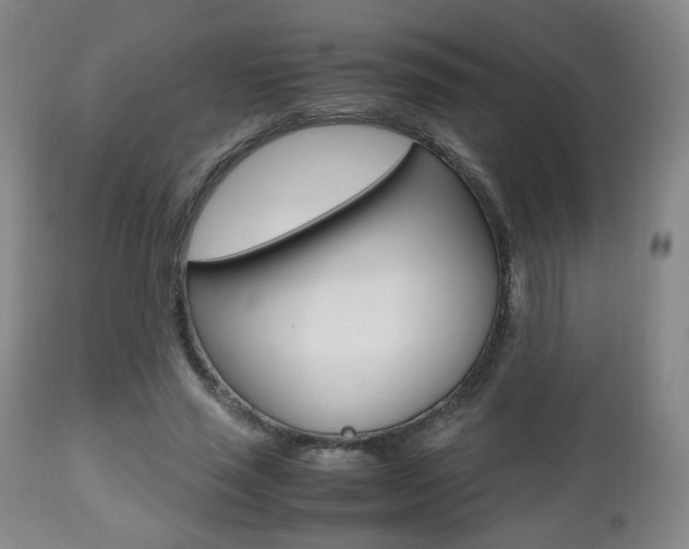 X0000112510637200908171049