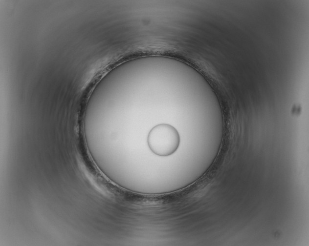 X0000112510638200908171049