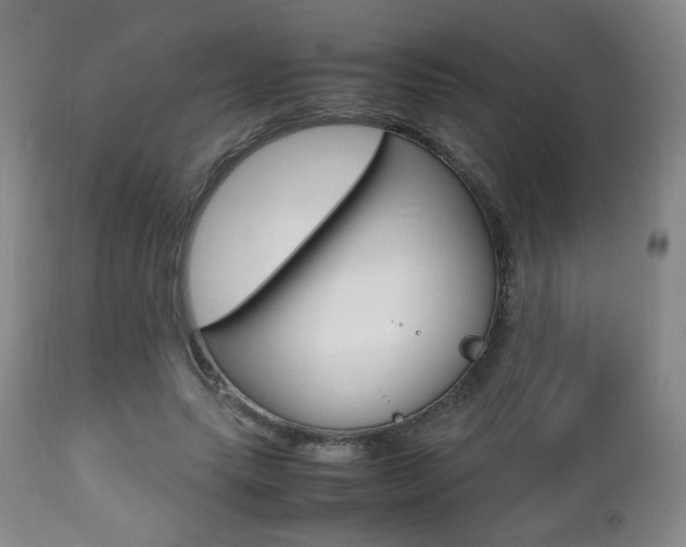 X0000112510639200908171049